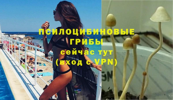Альфа ПВП Алексеевка