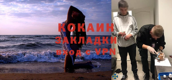 сатива Алексин