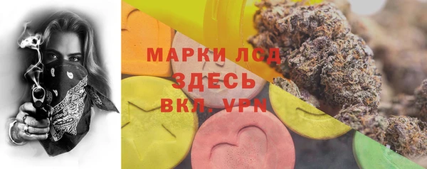 сатива Алексин
